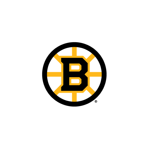 Boston Bruins
